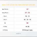 Bảng Chốt Số Soi Cầu XSMB  hôm nay 19/02/2011