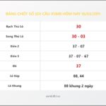 Bảng Chốt Số Soi Cầu XSMB  hôm nay 16/03/2011