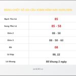 Bảng Chốt Số Soi Cầu XSMB hôm nay 10/01/2018